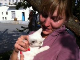 Под Киевом спасли кота, застрявшего в фонарном столбе