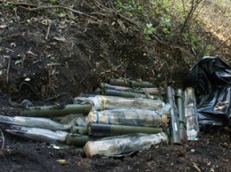 В лесополосе между Северодонецком и Лисичанском нашли тайник с оружием