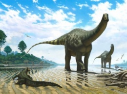 Могут ли динозавры еще где-нибудь жить?