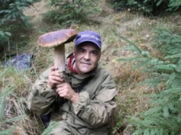 На Закарпатье киевлянин собрал рекордное количество грибов (ФОТО)