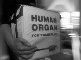 В Украине разоблачили группу "черных" трансплантологов