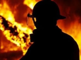 В пожаре в Виноградове один человек погиб, другого спасли от смерти
