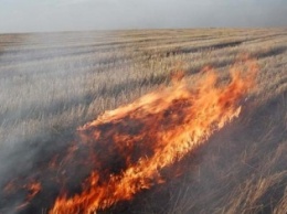 На Донецком шоссе горело 3 га травы: спасатели терпят убытки