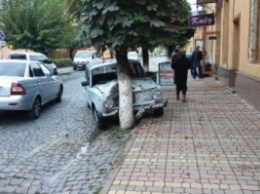 ДТП в Закарпатье: ВАЗ на скорости врезался в дерево (ФОТО)