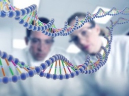 В США ученые смогли отключить гены старения у дрожжей
