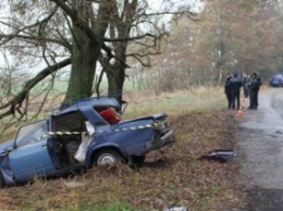 В Черниговской обл. легковушка врезалась в дерево, погибли три человека
