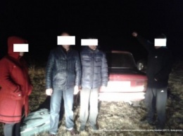 На Закарпатье задержали автомобиль с нелегалами