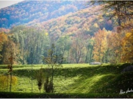 Как выглядит осень в одном из самых красивых парков Украины (ФОТО)