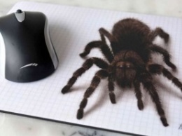 Мастер-класс по рисованию 3D-паука и не только