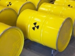 Россия готова строить ядерный завод в Украине