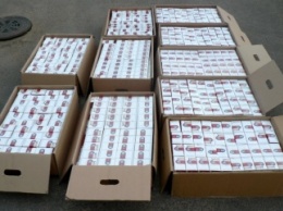 В Закарпатской обл. пограничники обнаружили два тайника с 10 ящиками сигарет