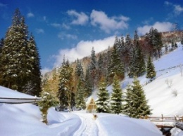 Зимний отдых туристы проведут в Карпатах