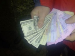 В Черниговской обл. СБУ задержала инспектора пограничной заставы за взятку в 1,1 тыс. долл