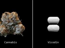 5 серьезных лекарств, которые может заменить марихуана