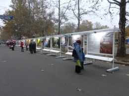 В Николаеве открылась уникальная фотовыставка "Лесные истории"