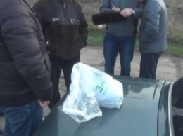 В Бердянске задержали мужчину с килограммом конопли