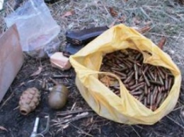 В Луганской обл. СБУ обнаружила в лесополосе тайник с гранатами и патронами