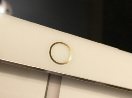 Американец купил редкий экземпляр серебристого iPad Pro с золотым кольцом Touch ID