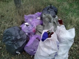 Николаевские активисты просят власть обеспечить вывоз мусора на полигон после субботника