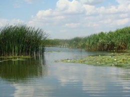 В Херсонской области создан национальный природный парк «Нижнеднепровский» – Порошенко подписал соответствующий Указ