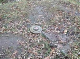 СБУ нашла в Донецкой обл. тайник с противопехотными и противотанковыми минами