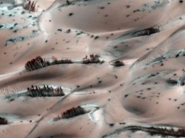 NASA показало похожие на деревья песчаные дюны на Марсе (ФОТО)