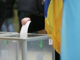 ЦИК ожидает появления предварительных результатов выборов в Мариуполе и Красноармейске до полуночи 30 ноября
