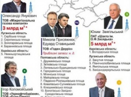 Обнародованы имена "газовых королей" в Украине