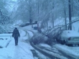 Непогода в Украине: 77 населенных пунктов без света, погибла женщина