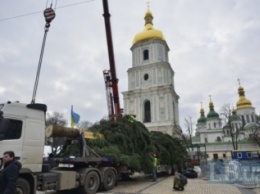 На Софийской площади в Киеве установили главную новогоднюю елку Украины