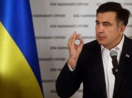 Из-за коррупции Украина ежегодно теряет 5 млрд долл. - М.Саакашвили