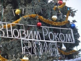 Луцксовет потратит 200 тыс. грн на украшение новогодних елок