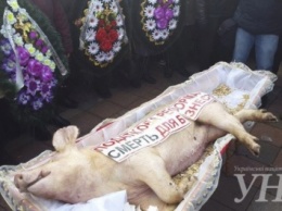 Протестующие аграрии принесли к ВР гроб с мертвым поросенком