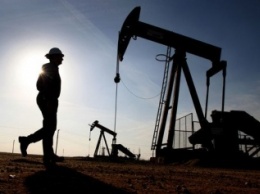 Из-за масштабного разлива нефти в Волгоградской области погибли несколько человек
