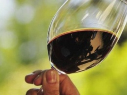 Разоблачение года: в вине больше алкоголя, чем указано на этикетке