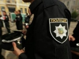 В Донецкой обл. в новогоднюю ночь пьяный в камуфляже покусал полицейского