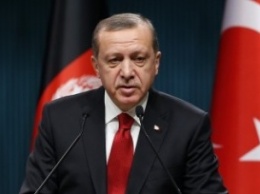 Политолог: Эрдогана нужно наказать за «восхищение Гитлером»
