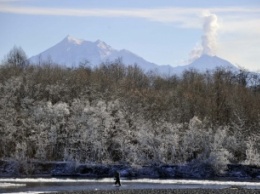 На Камчатке вулкан Шивелуч выбросил столб пепла на высоту 6 км