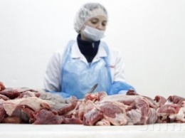 Более 30 украинских предприятий будут поставлять в Молдову мясо и молочные продукты