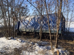На участке автодороги "Новая Одесса-Еланец" грузовик слетел в лесопасадку