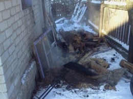 На Луганщине в результате пожара погиб мужчина (ФОТО)