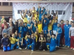 Запорожские спортсмены выиграли Кубок Украины по ушу