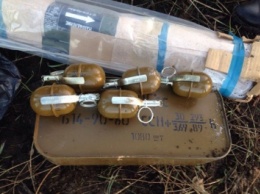 Пограничники в Донецкой обл. обнаружили склад боеприпасов на территории заброшенной фермы