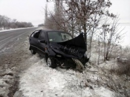 Под Николаевом водитель легковушки не справился с управлением и врезался в дерево, трое пострадавших госпитализированы