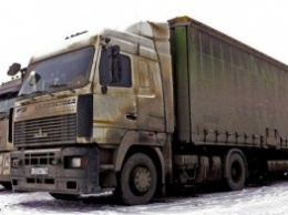В одном из сел Вознесенского района у дальнобойщика украли 600 литров дизельного топлива