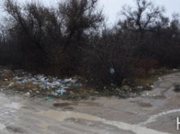 Активные николаевцы заставили предпринимателя из Новой Одессы вывезти свой мусор из Матвеевского леса