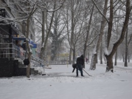 Николаев накрыло снежной метелью