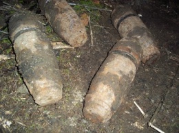 «Урожайная» Петровка: на Николаевщине обезвредили 21 артснаряд и 6 взрывателей