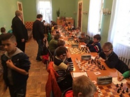 Николаевская зима-2016: итоги шахматного фестиваля
