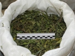 На Днепропетровщине задержали торговца марихуаной